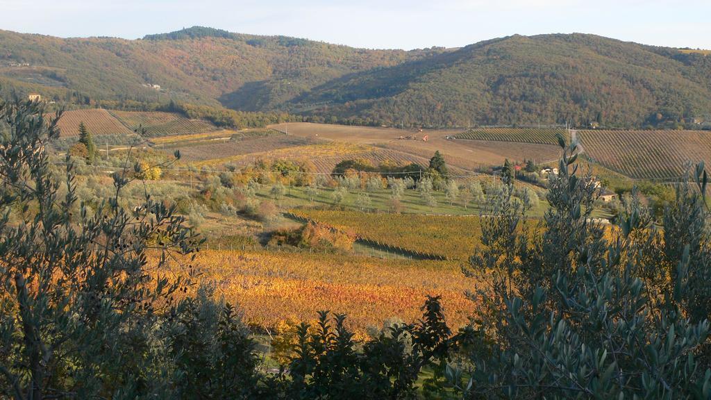 Villa Le Barone Panzano in Chianti Exterior foto